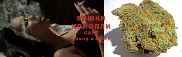 мяу мяу мука Инсар
