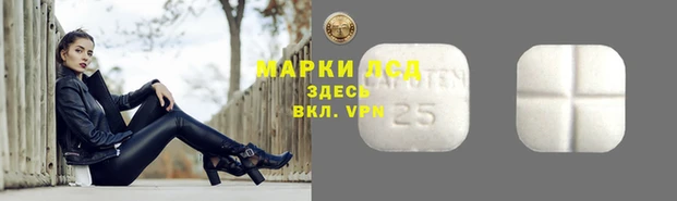 мяу мяу мука Инсар