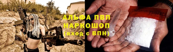 спиды Иннополис