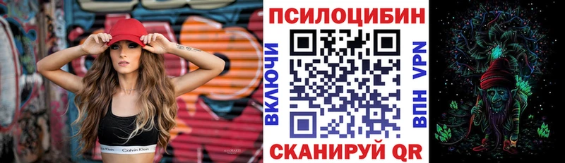 Галлюциногенные грибы Psilocybe  купить наркоту  Свободный 